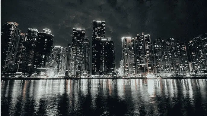 宠物对战升级路线 - 城市之光：霓虹背后的人间烟火
